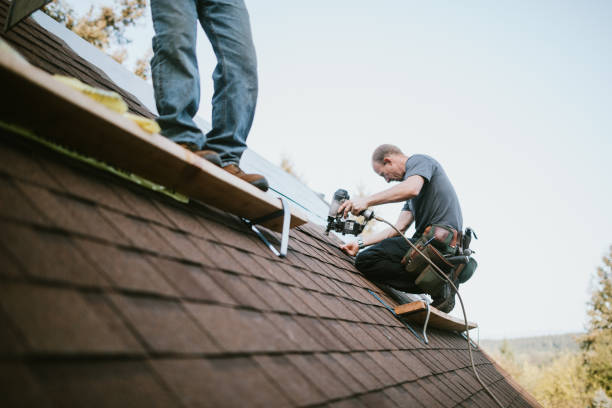 Best Roof Ventilation Installation  in Orida Ridge, FL